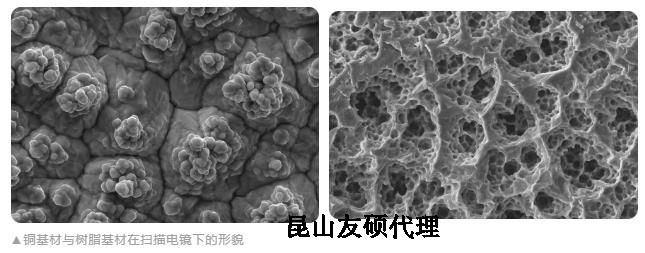 潮州蔡司潮州扫描电镜